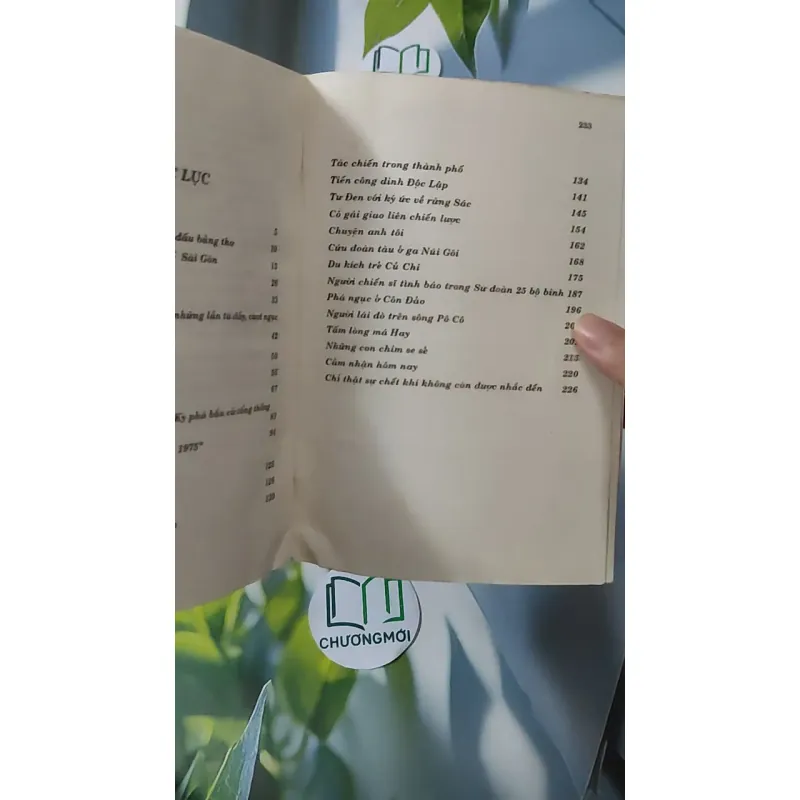 [XƯA] Hồ Sơ Một Thế Hệ (1996) 928586