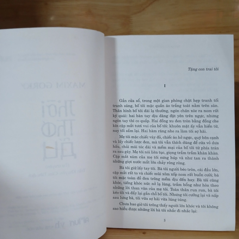 Thời Thơ Ấu - Maxim Gorky 398371