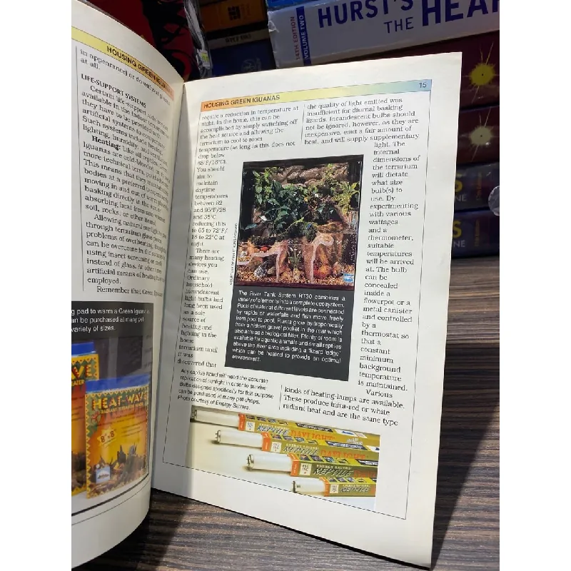 Caring for Green Iguanas - John Coborn 726821