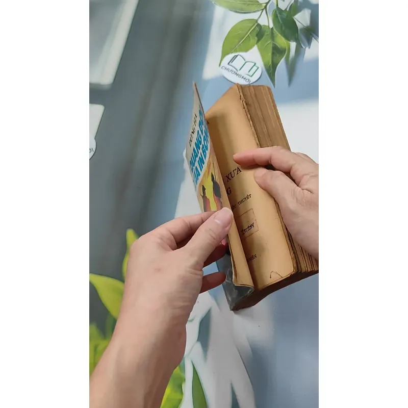 [XƯA] Quãng Đời Xưa In Bóng (1990) - Dũng Hà 776083