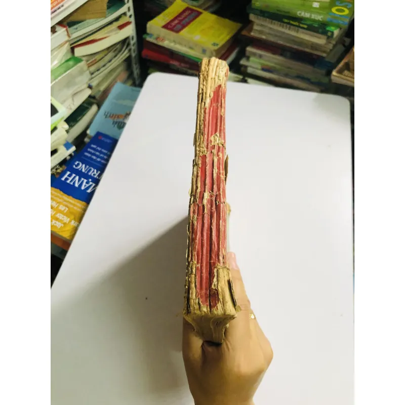 8 cuốn báo NGỰA GIÓNG đóng chung (1973–1974, 75) 776930