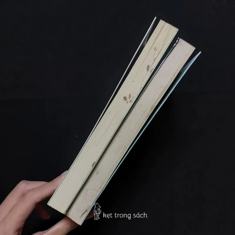 Tôi Có Câu Chuyện, Bạn Có Rượu Không? + Tôi Có Một Chén Rượu, Có Thể Xoa Dịu Hồng Trần 593637