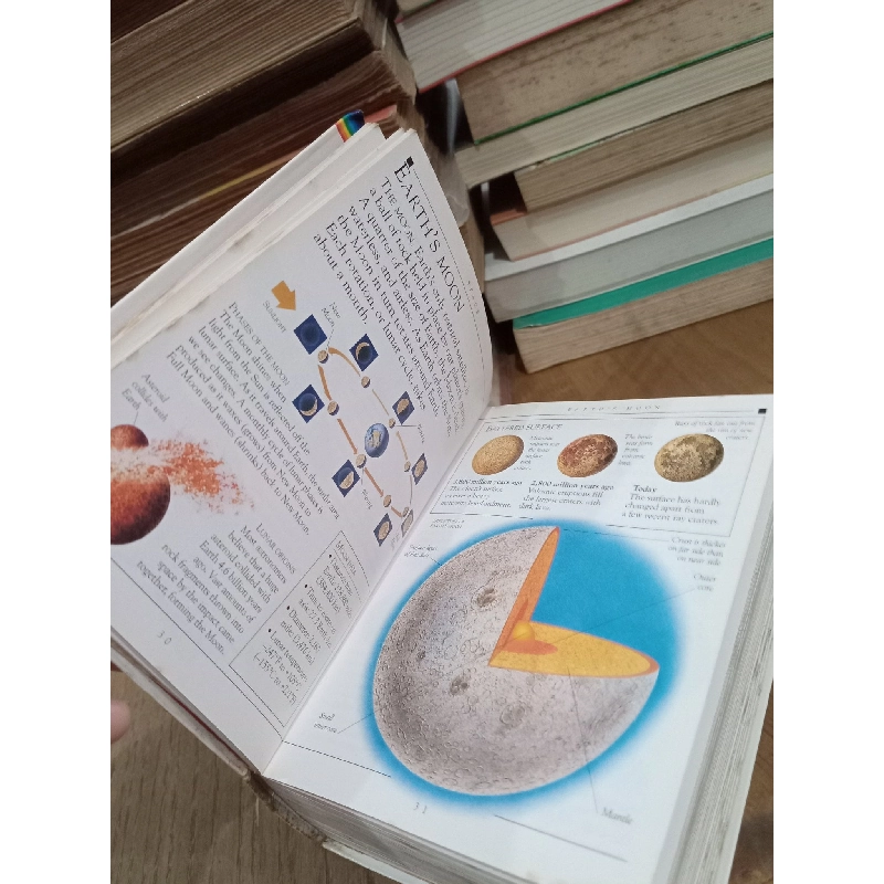 Pockets Encyclopedia - John Farndon 762375