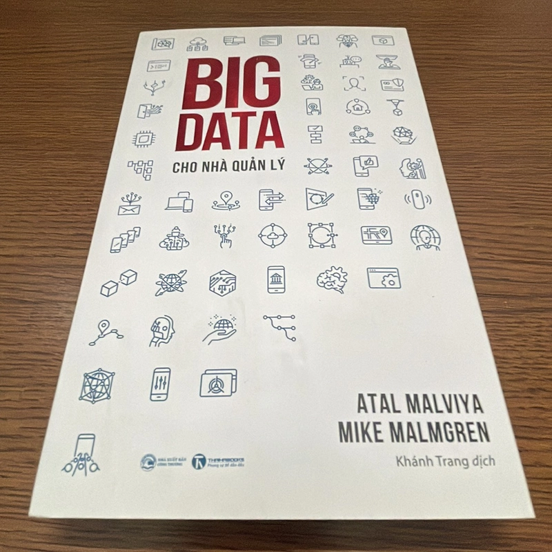 Big data cho nhà quản lý Atal Malviya 358529