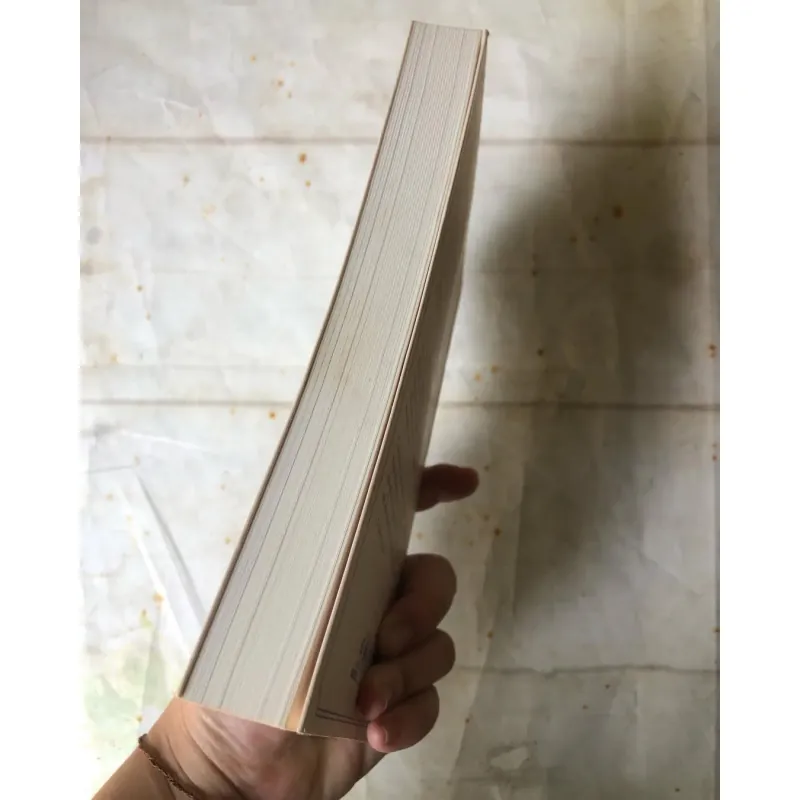 Chim Én Và Amazon: Mùa Hè Trên Hoang Đảo - Arthur Ransome 756696