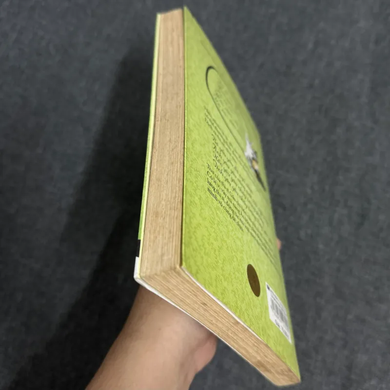 Có hai con mèo ngồi bên cửa sổ - Nguyễn Nhật Ánh 1023041