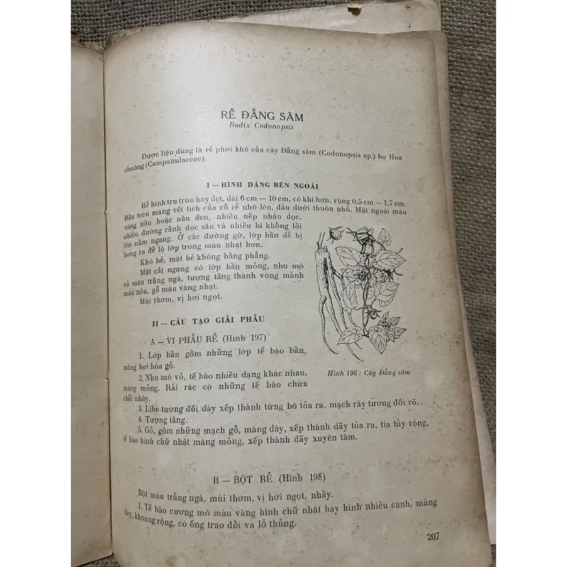 Kiểm nghiệm dược liệu - sách y khổ lớn  971449