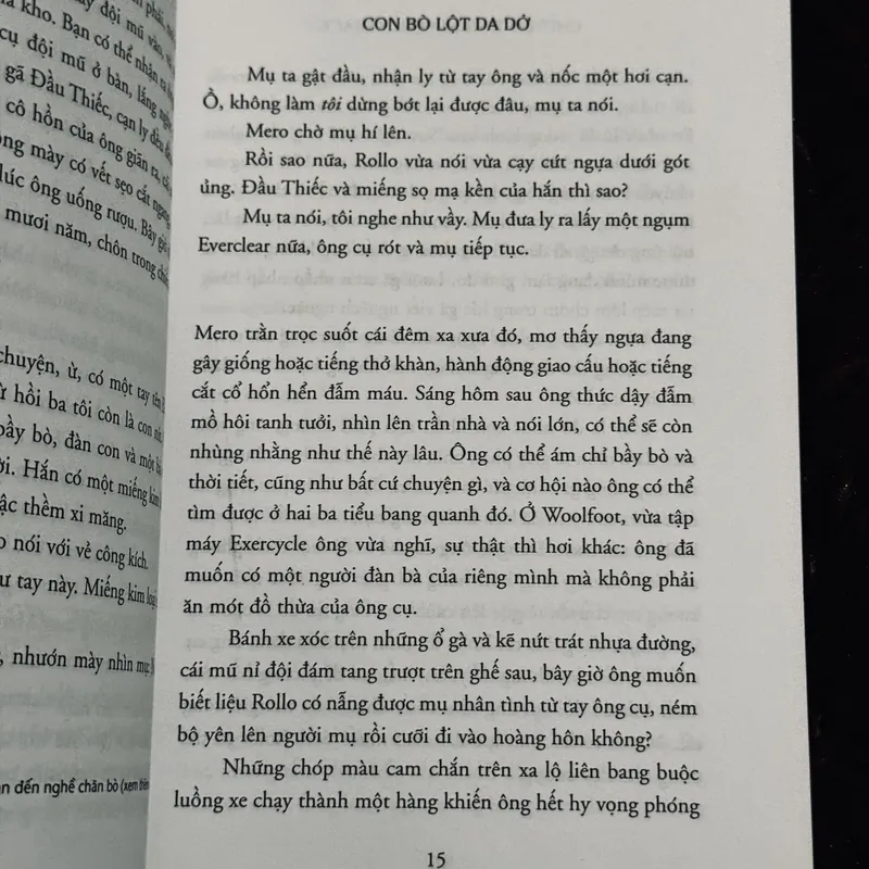 Chuyện tình núi BrokeBack 719006