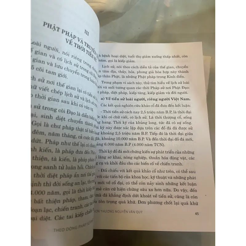 THEO DÒNG PHÁP SỬ PHẬT GIÁO VIỆT NAM - VÂN SƠN THƯỢNG, NGUYỄN VĂN QUỲ  1023152