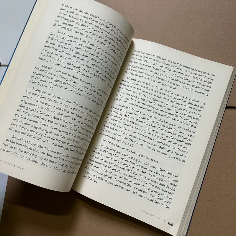 Để gió cuốn đi - Ái Vân 748225