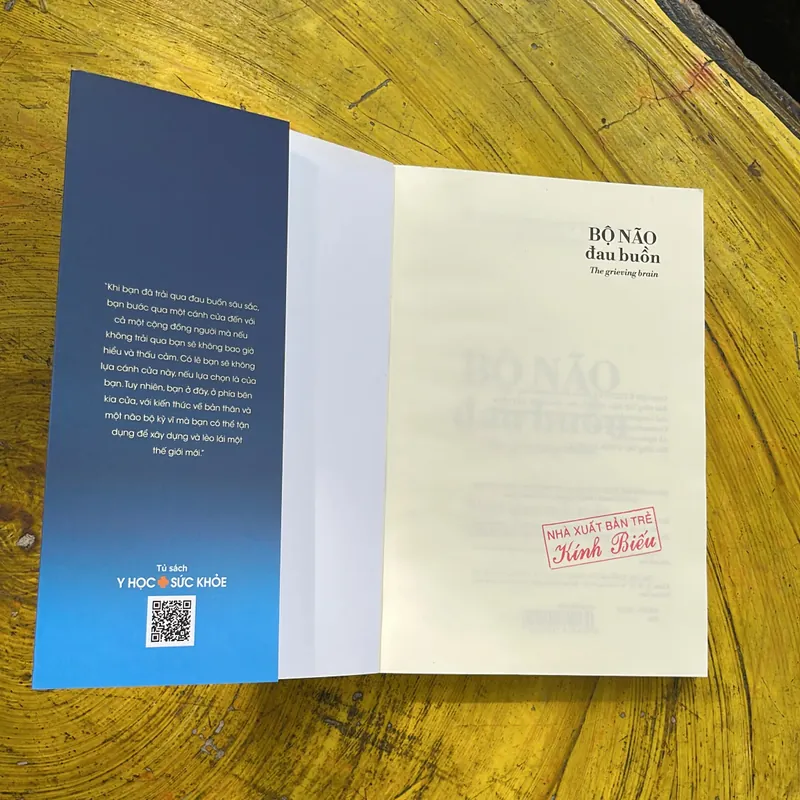 BỘ NÃO ĐAU BUỒN- TS. MARY-FRANCES O’CONNOR  689650