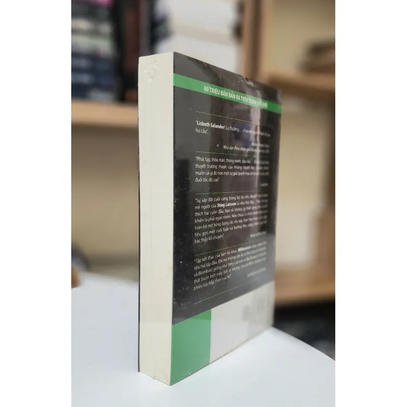 Trinh thám Thụy Điển: CÔ GÁI CHỌC TỔ ONG BẦU (Stieg Larsson) 759666