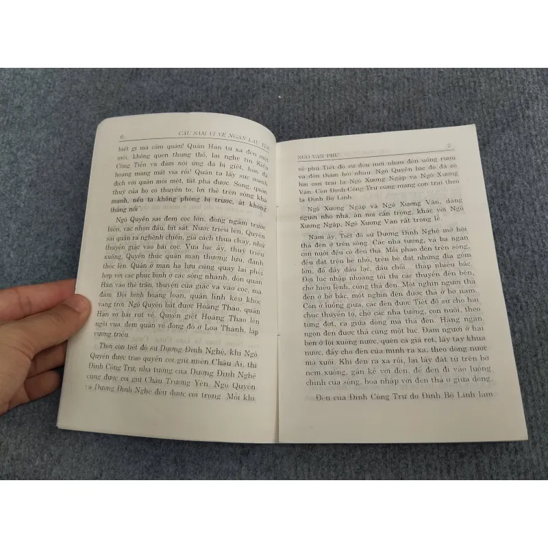 CÂU SẤM VĨ VỀ NGÀN LAU TÍM - NGÔ VĂN PHÚ 993223