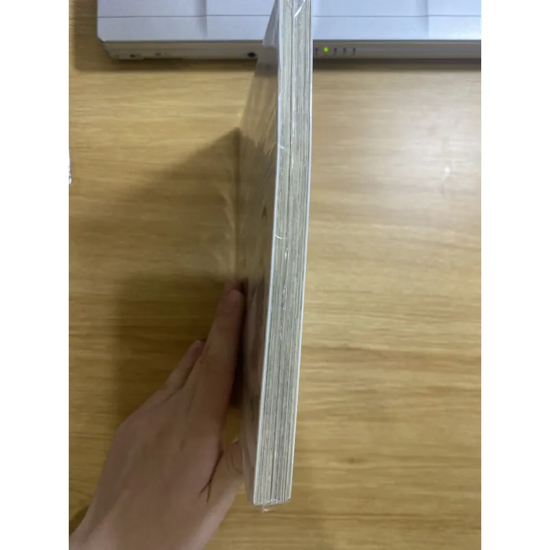 Người bà tài giỏi vùng saga tập 1 1018791