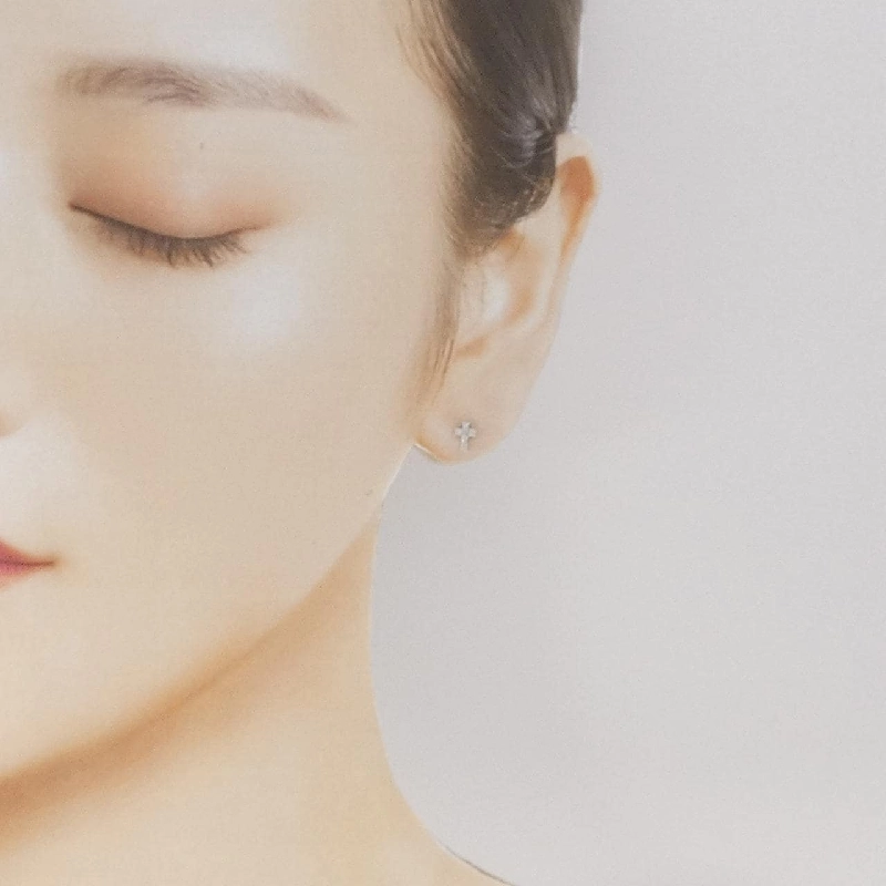 PT/PT900 Bông tai kim cương 0.12CT - Hàng hiệu Chính hãng 868199