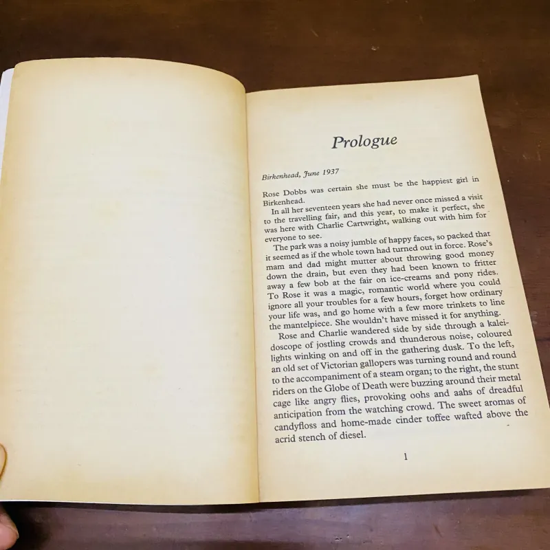 Fairfield rose - Sue Dyson  990595