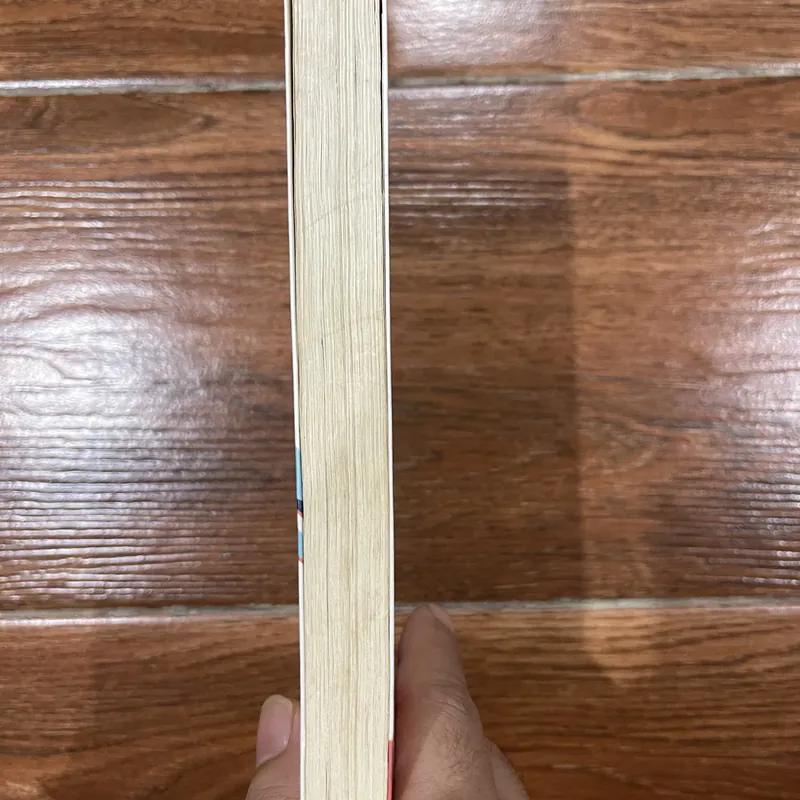 Những Tiểu Thư Hồi Giáo - Rajaa Alsanea (7) 605503