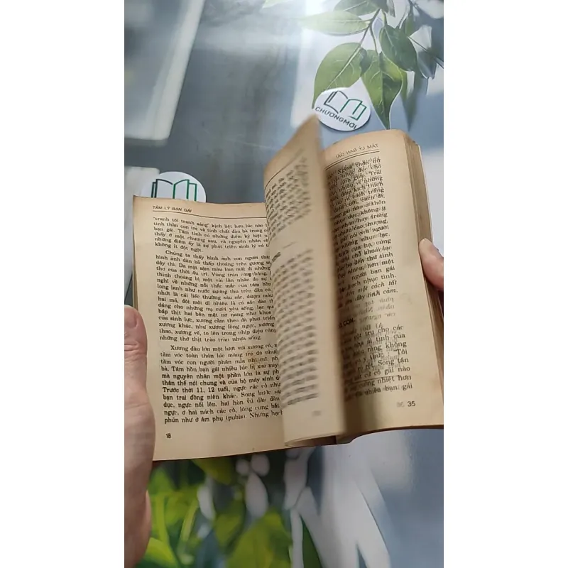 [XƯA] Tâm Lý Bạn Gái (1995) - Hoàng Xuân Việt 776058