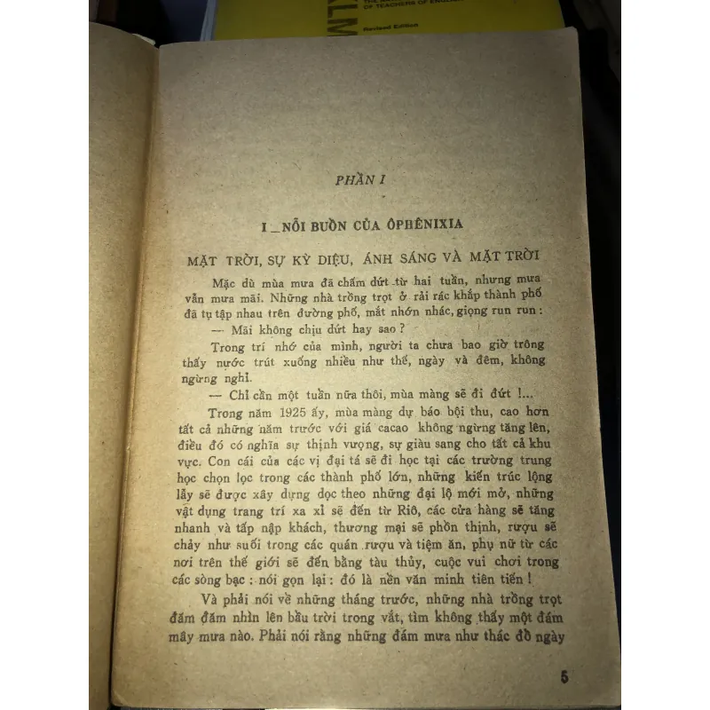 Gabriela Nhành quế và hoa đinh hương - Jorge Amado 928385