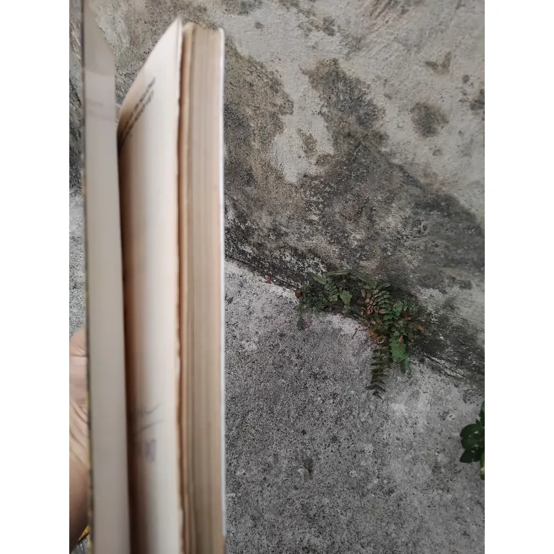 Về văn hóa và tín ngưỡng truyền thống người Việt của Leopold Cadière 1026178