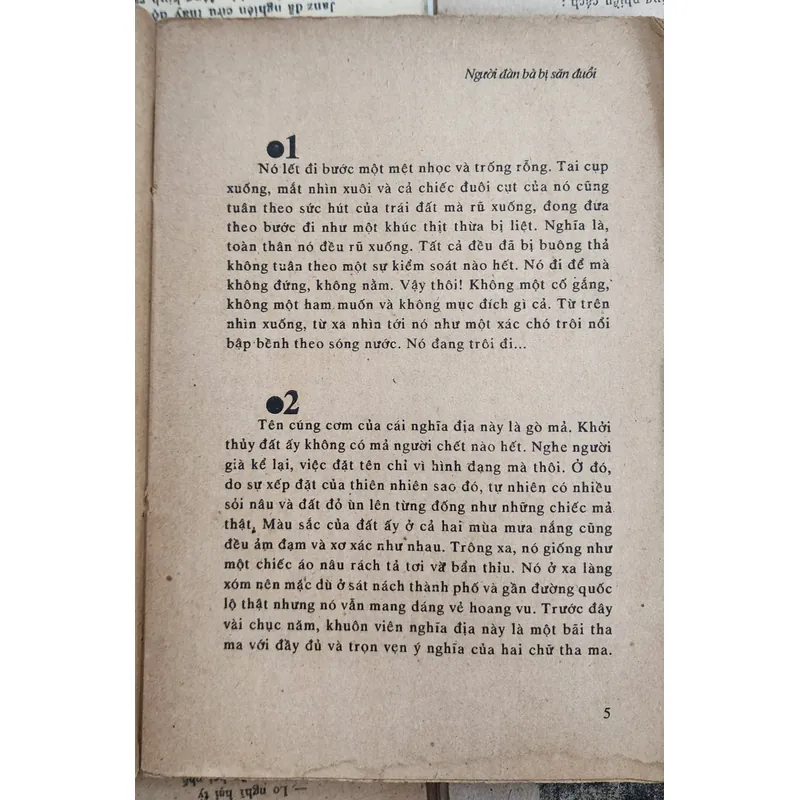 NGƯỜI ĐÀN BÀ BỊ SĂN ĐUỔI - Tác giả: Trần Văn Tuấn 706660