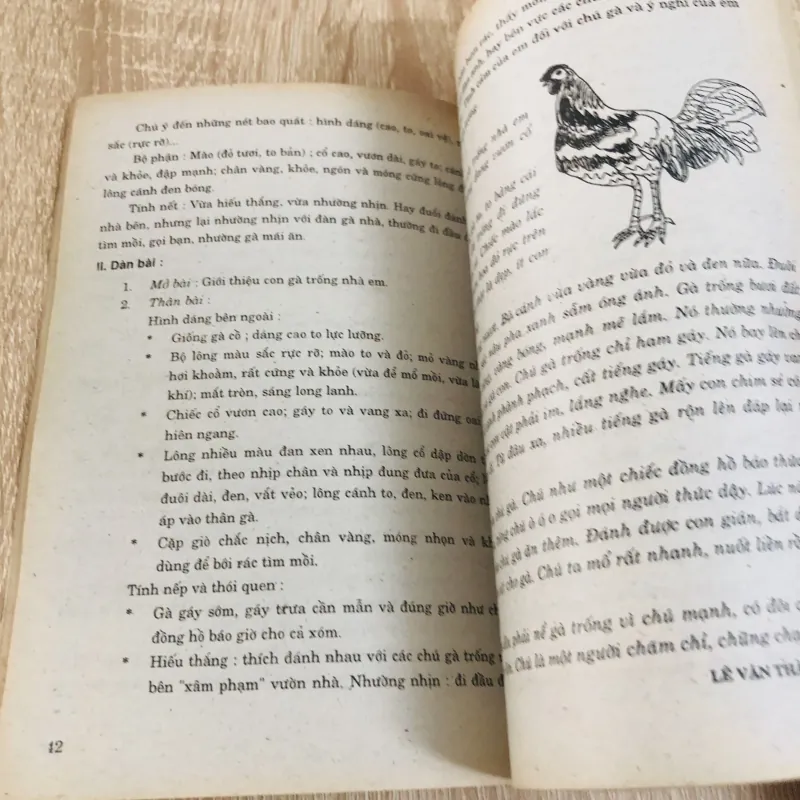 TẬP LÀM VĂN  928995