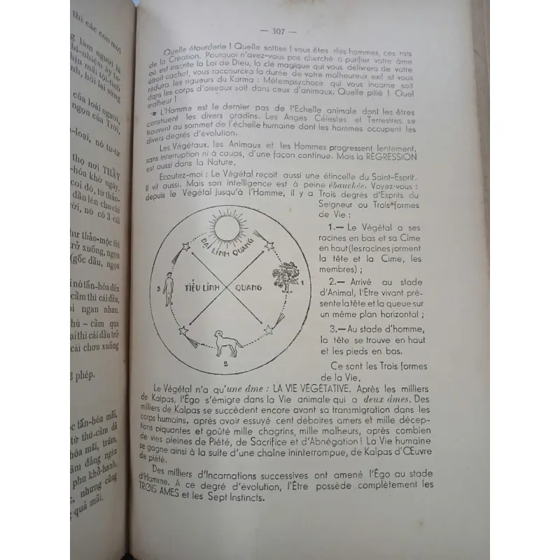 ĐẠI THỪA CHƠN GIÁO 999764