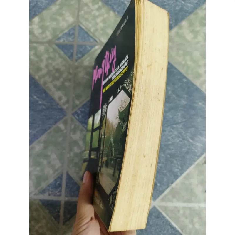 Phong thủy - quan niệm của người trung quốc về môi trường sống - Lưu Bái Lâm 696869