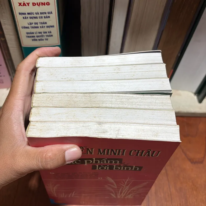 II Tác Phẩm Và Lời Bình (6 Cuốn): Thạch Lam, Nam Cao, Nguyễn Công Hoan, Nguyễn Bính,. 2013 907581