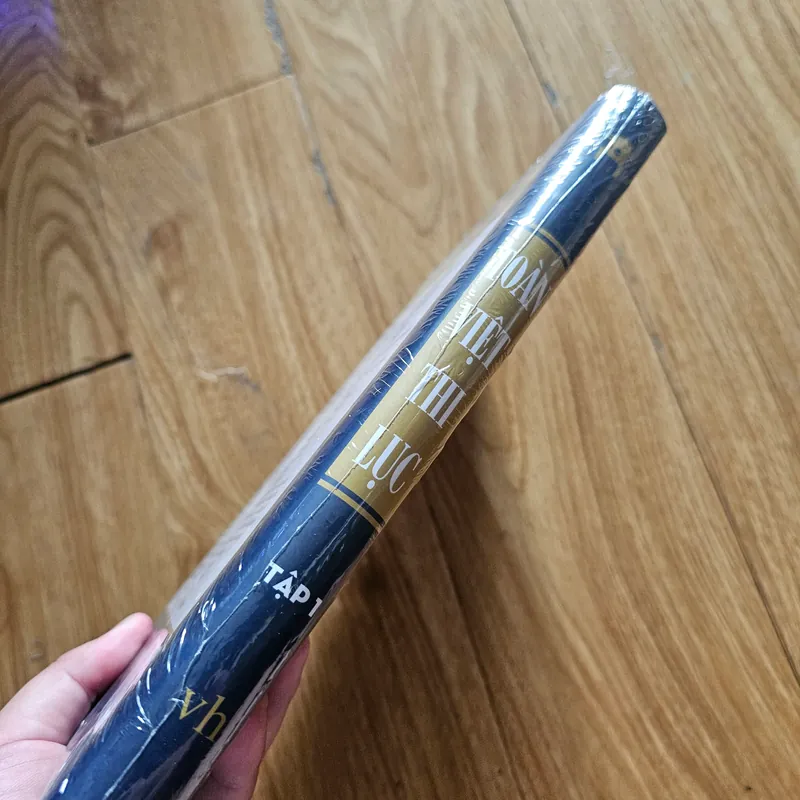 Toàn việt thi lục tập 1 (bìa cứng)
80k 561430