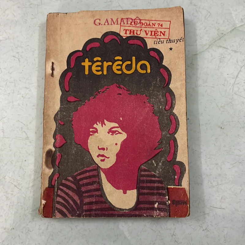 Têrêda G. Amado 998248