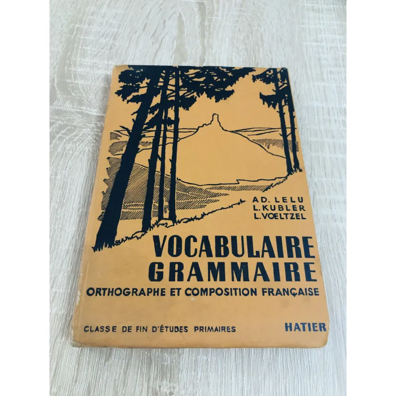 Vocabulaire – Grammaire – Orthographe et Composition Française 972613