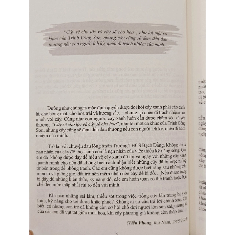 Bật gốc - Đại Dương 929951