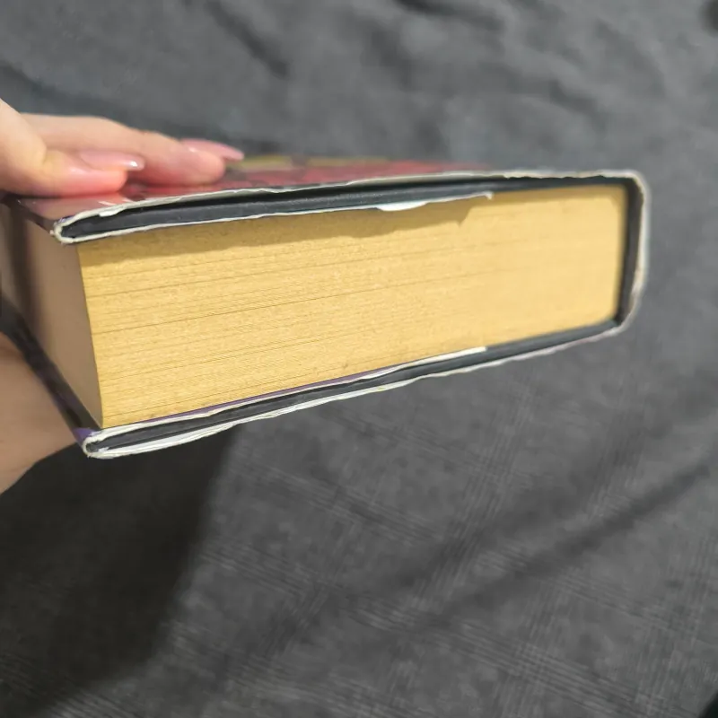 Little Stars (A Hetty Feather Adventure) - Jacqueline Wilson [Hardcover] 1010574