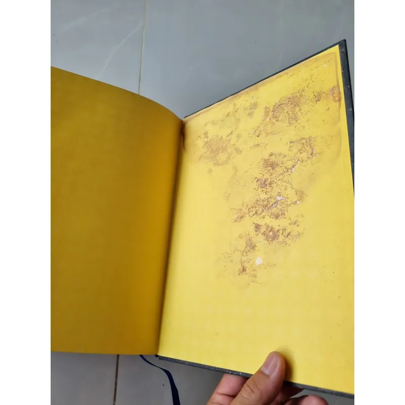 Từ điển bách khoa y học Anh Việt 1021654