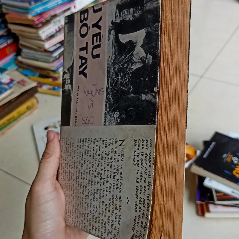 Những vì sao 🌻 576614