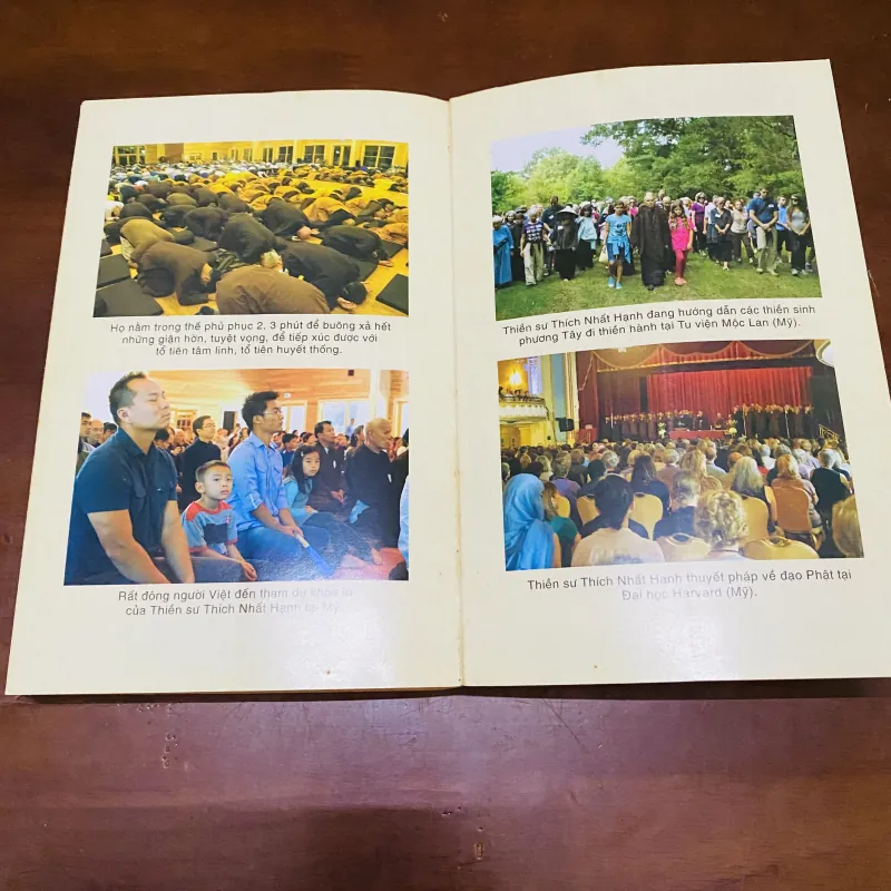 Hạnh phúc đích thực - Thích Nhất Hạnh  990600