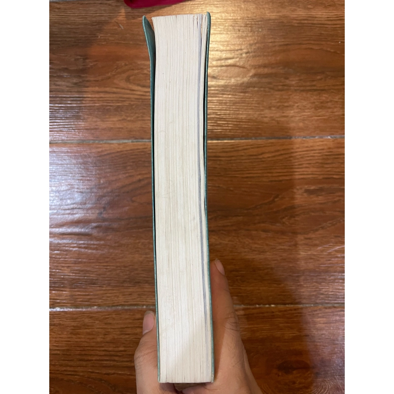 Lịch Sử Việt Nam Từ Nguồn Gốc Đến Giữa Thế Kỷ XX (6) 532120