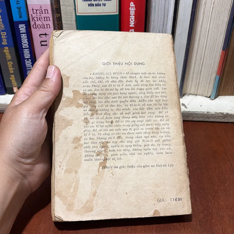 II Văn Học Kinh Điển: Không Gia Đình (Tập 2) - HÉCTO MALÔ - 1986 777318