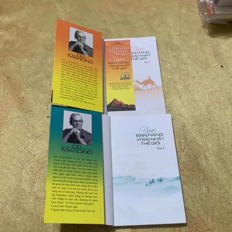 NGƯỜI BÁN HÀNG VĨ ĐẠI NHẤT THẾ GIỚI - OG MADINO full hai tập 753019