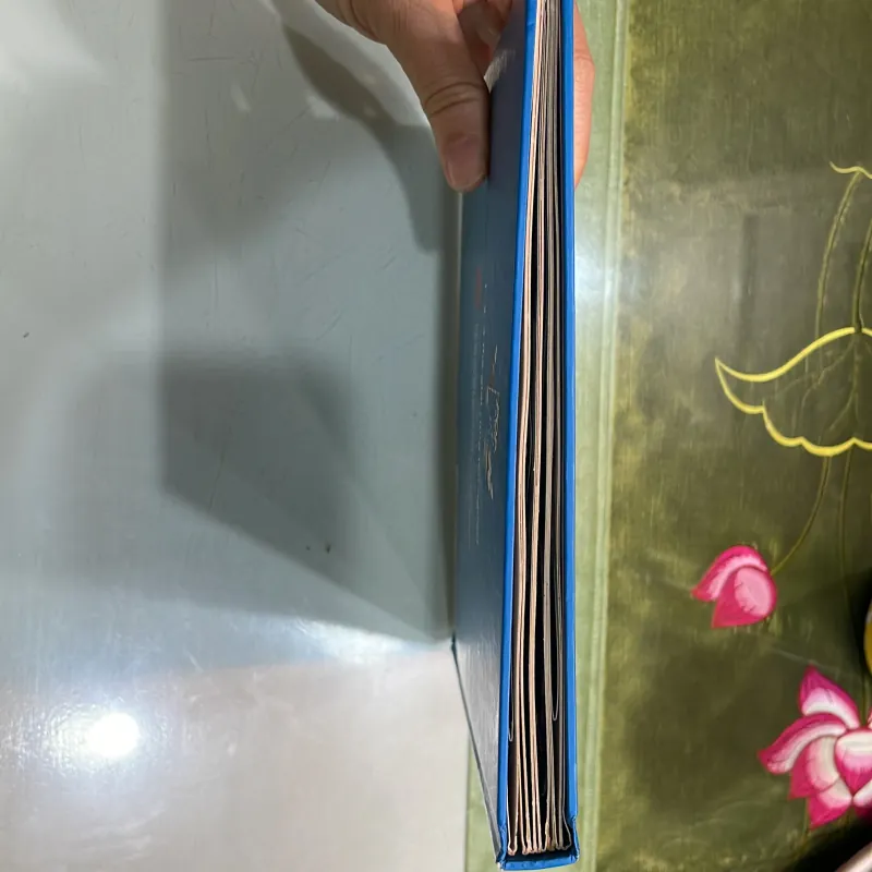 Sách tương tác Pop - Down  1026431