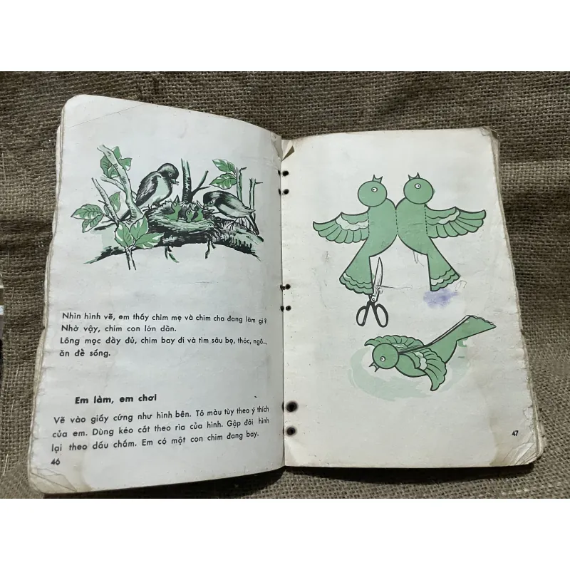 Em tìm hiểu khoa học - Lơp 2, sách giáo khoa xưa  931487