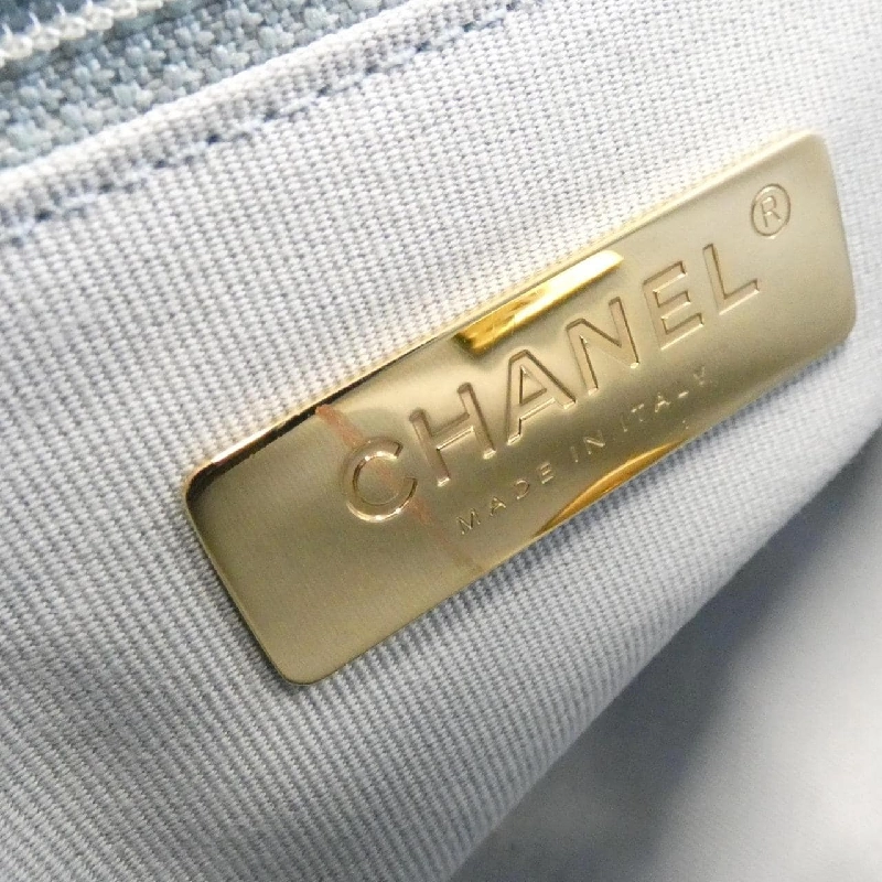 Chanel Chanel 19 Dòng AS1160 Túi đeo vai 613031