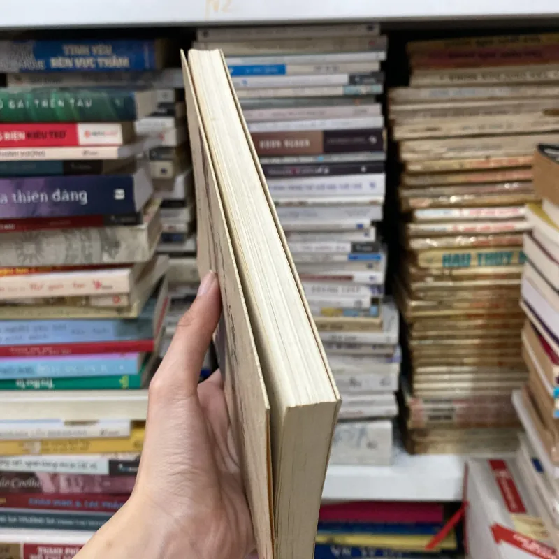 Những Cuộc Đi Và Cái Nhà♟️ 933512