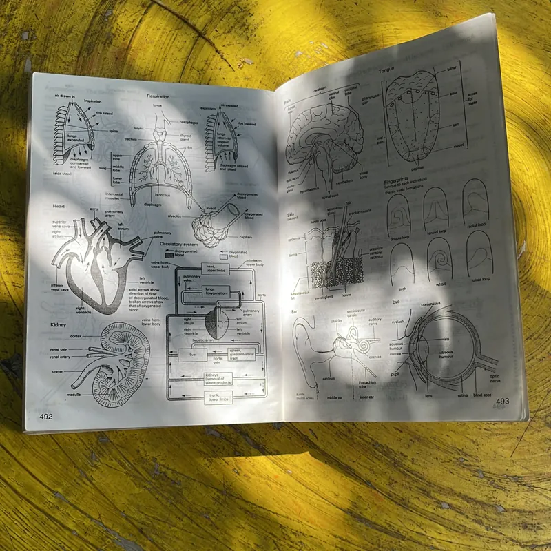 TỪ ĐÚNG - TỪ SAI CÁC TỪ VÀ CẤU TRÚC TIẾNG ANH THƯỜNG NHẦM LẪN KHI SỬ DỤNG- ALEXANDER 696132