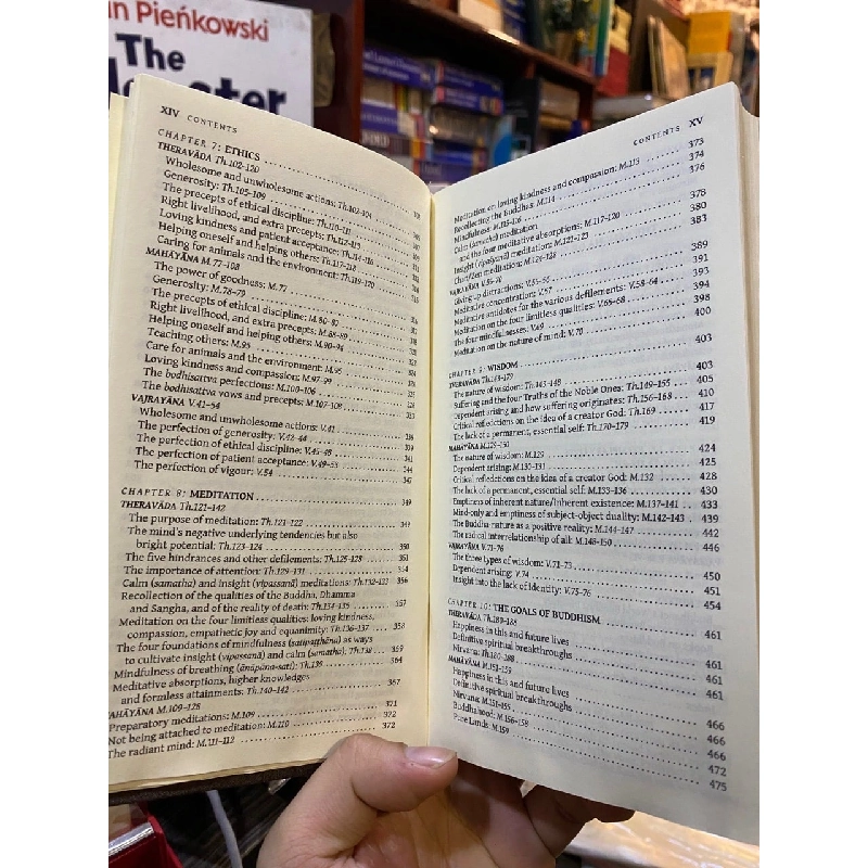 Guidance and Insight from The Buddha 752837