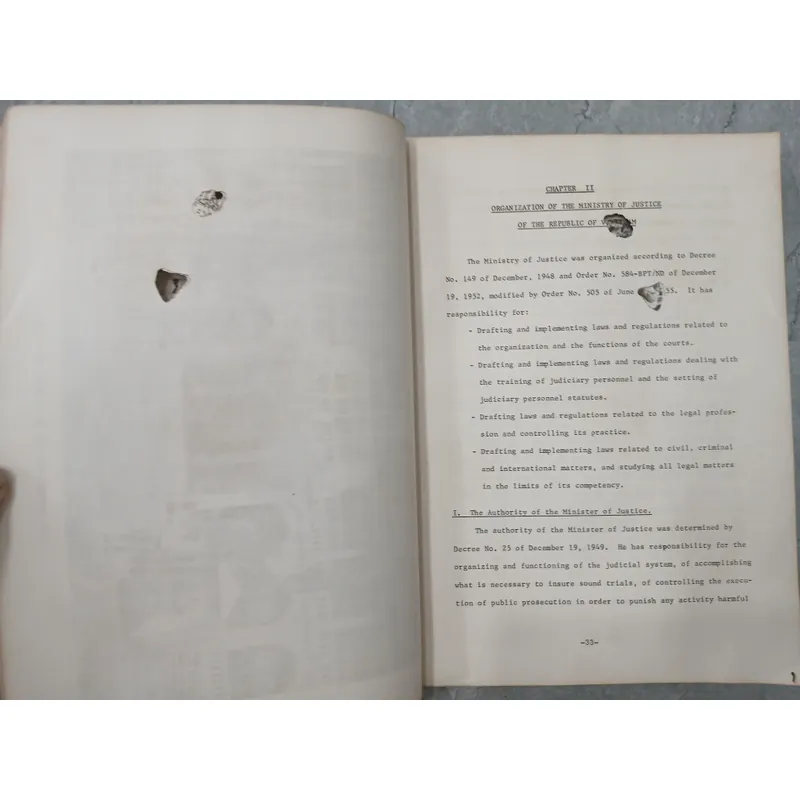 LEGAL SYSTEM - HỆ THỐNG PHÁP LUẬT 590773