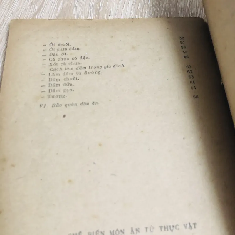 CHẾ BIẾN MÓN ĂN TỪ THỰC VẬT 956920