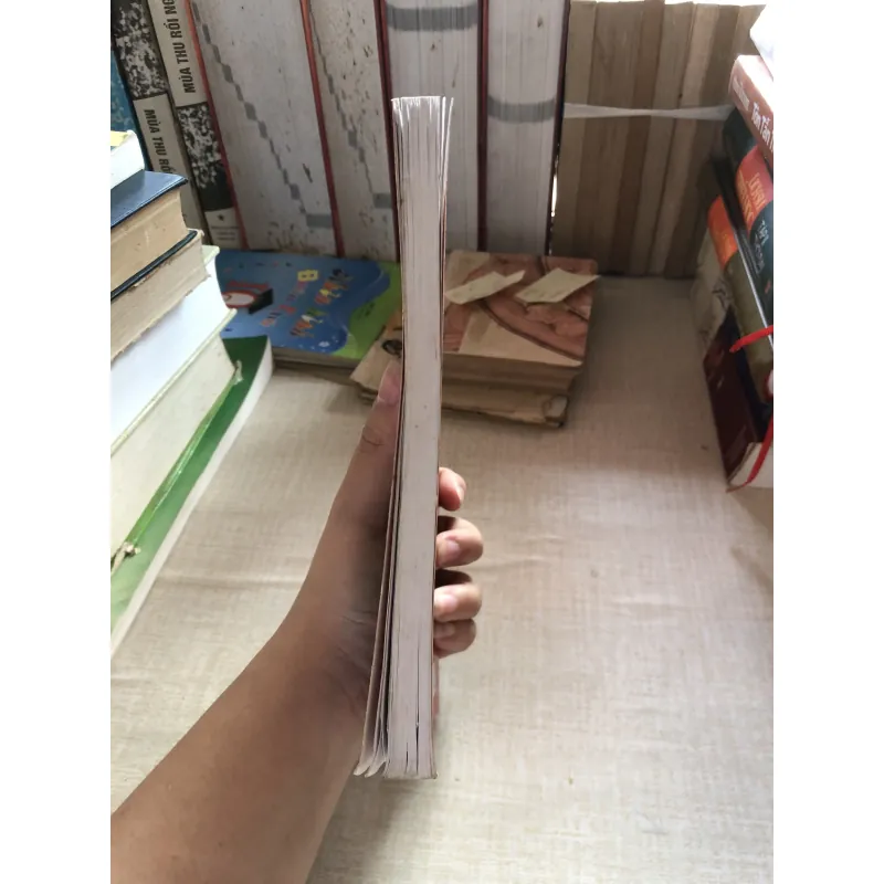 Nhà Nguyễn Chín Chúa Mười Ba Vua 993312