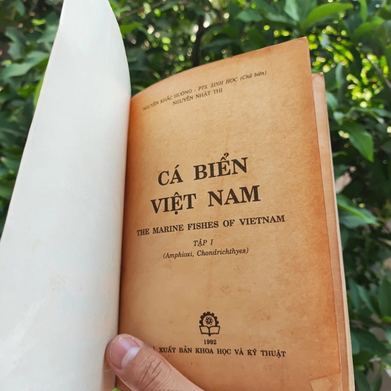Cá Biển Việt Nam - The Marine Fishes Of VietNam - Tập 1 526446